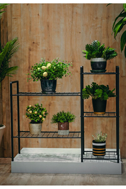 TOPRAK E-TİCARET Metal 5 Raflı Dekoratif Saksılık Garden 5