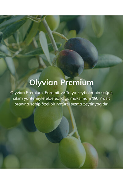 Olyvian Premium Doğal Zeytinyağı 3 L – Edremit & Trilye Cinsi Natürel Sızma (Soğuk Sıkım)