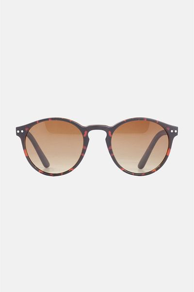 Avva Men's Brown Polarized Sunglasses A31Y8815