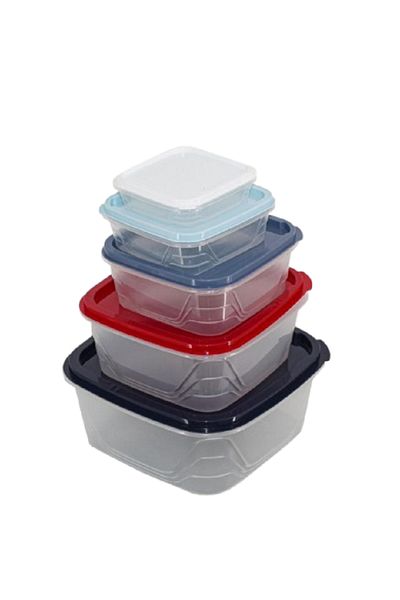 rexa Set of 5 Colorful Covered Storage Containers – Multi-Purpose Kitchen & Home Organizer