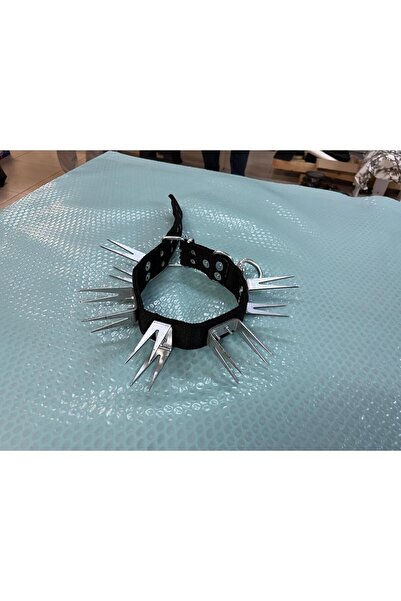 tpz Büyük Irk Yetişkin U Çivili Köpek Tasmasi Dokuma Tasma