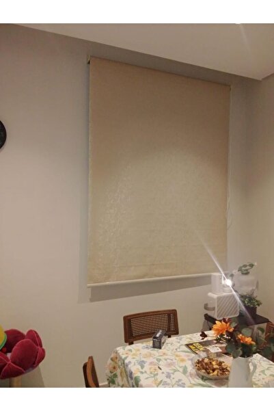 DEC4 Tree roller blinds add a touch of elegance and privacy