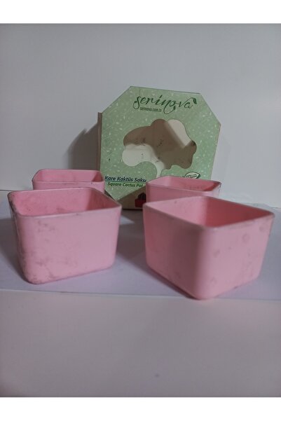 SERİNOVA serinova kare kaktüs saksı 4 adet