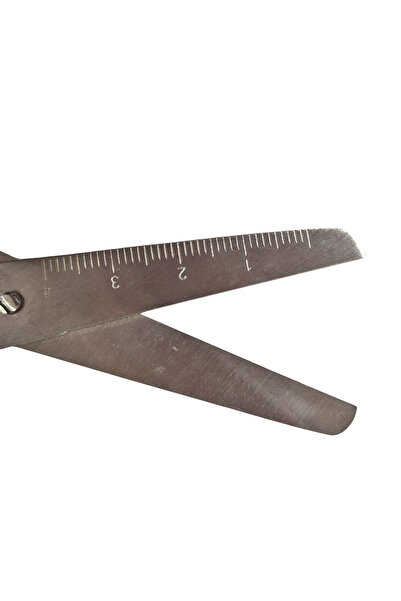 Limmy Children's Scissors Blunt Tip School Scissors with Ruler - Blue