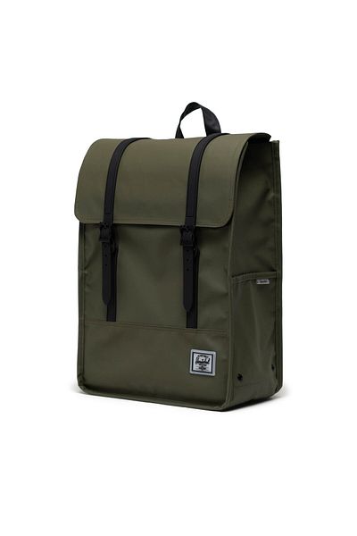 herschel herschel Women's, Men's, Unisex Backpack green HERSCHEL-10999 04281 IVY GREEN