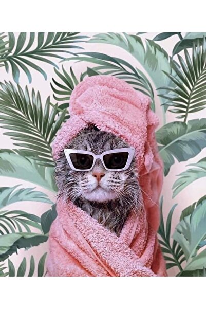 Rugs Modern Halı Kuzey Koleksiyonu Pembe Bornozlu Kedi Detaylı Dokuma Taban M...