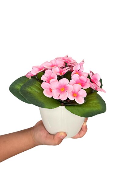 YAPAY ÇİÇEKÇİNİZ BEYAZ RENKLİ SAKSIDA CANLI RENKLİ GERÇEK DOKULU YAPAY MENEKŞE