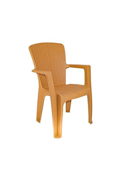 rexa Rattan-Style Plastic Chair – Durable Indoor/Outdoor Seating (44x57x90 cm