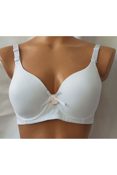 Acemoğlu retractive bra