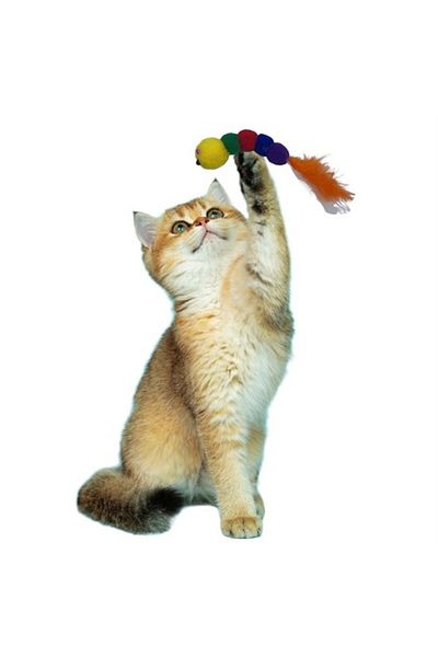 STOREMAX Lvnmblya Squishy Drawstring Caterpillar Shaped Colorful Cute Pet Toy Shop Deesing