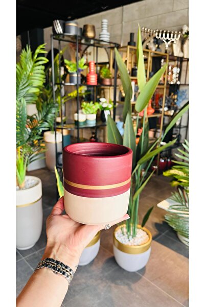 Edvu Konsept Mini Mini Saksı Krem&Bordo Gold Çizgili