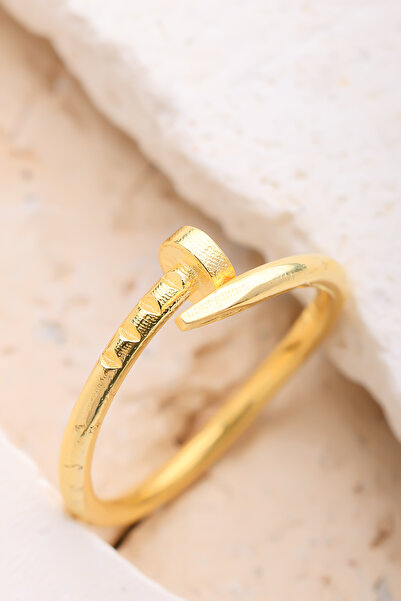 Lucente Jewellery Özel Hediye Kutulu Minimal Çivi Vida Gümüş Altın Kaplama Ay...