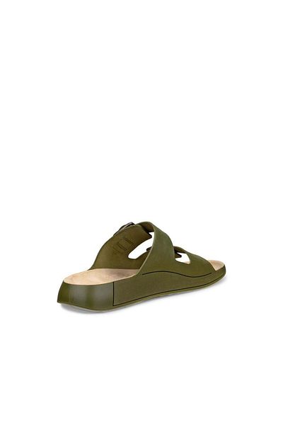 Ecco Cozmo M Acorn
