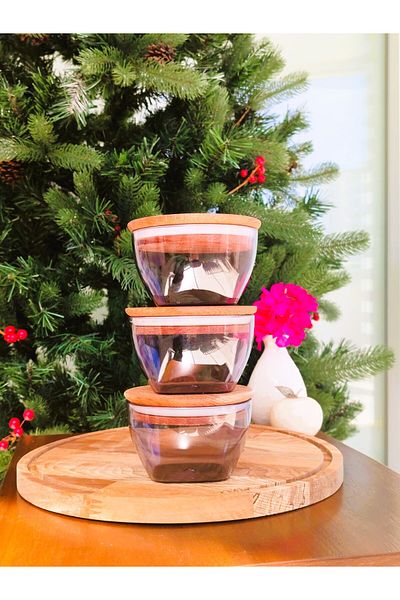 Madame Coco Florian Wooden Lid Storage Container Set of 3 - 380ml