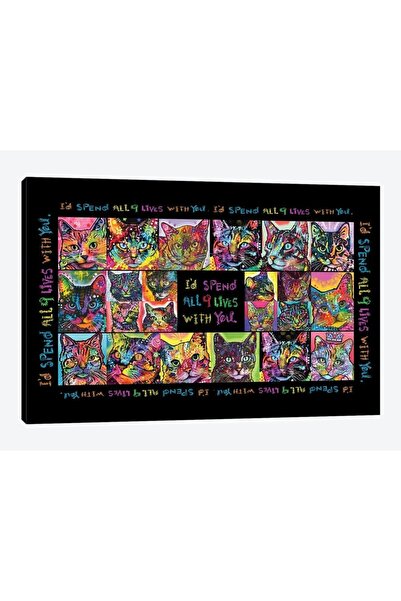 Drymate Mats For Cats Cat Collage 12 x 20 Inch / 30 x 50 cm