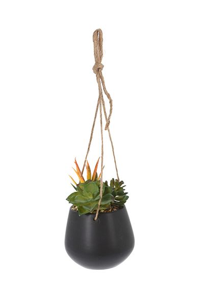 Koopman Planta artificiala mix Suculente, Azay Design, in ghiveci suspendat cu agatatoare H 48 cm