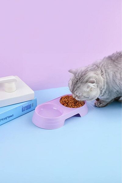 CMT 🐶 Double Compartment Food Bowl