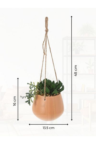 Koopman Planta artificiala mix Suculente, Azay Design, in ghiveci beige suspendat cu agatatoare H 48 cm