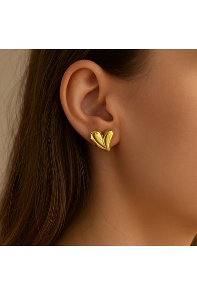 Bonicce Gold Color Heart Steel Earrings Women's Earrings Gift