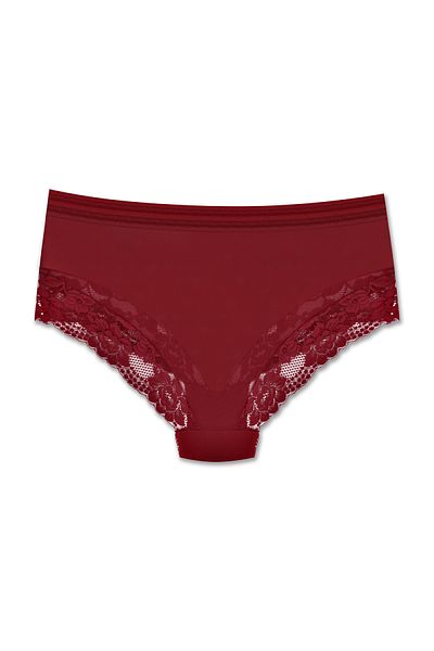 ZENA UNDERWEAR Tulle and Lace Detailed Elastic High Waist Plus Size Women's Panties