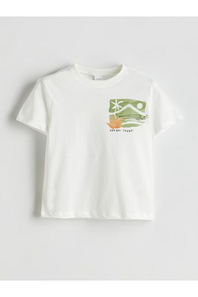LC Waikiki Crew Neck Printed Boy's T-Shirt