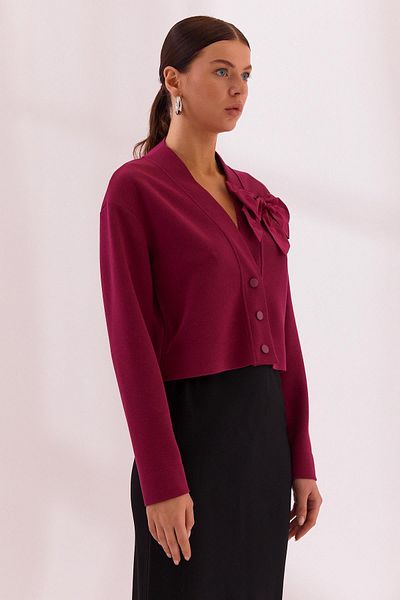 Naar 12619 Naar Cardigan