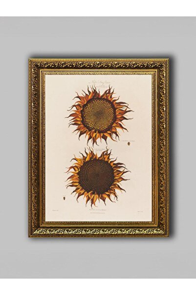 WoodyArts Structura floarelor de soare - Cadru antic auriu