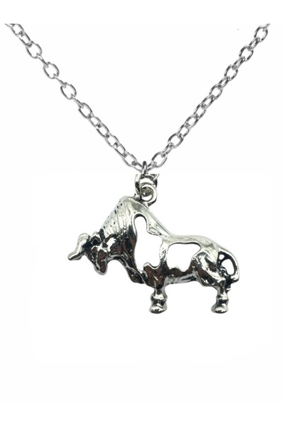 Herşey Nota Iron Taurus – قلادة للجنسين على شكل ثور (60 سم مع سلسلة)