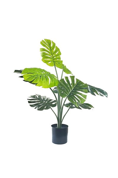 DESİGN Artificial Plant Monstera, Azay Design, realistic details, lush green leaves, look, black po