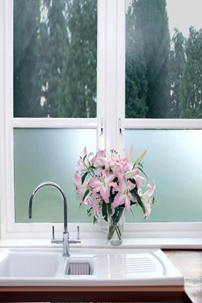 Elioure Folie autoadezivă transparentă pentru sablare cu nisip 45 cm x 6 m