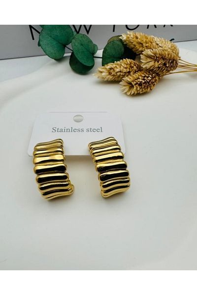 Gly Takı Steel earrings