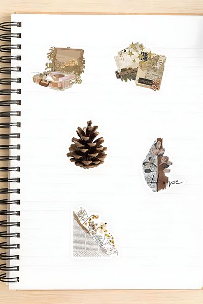 Grafikup Vintage Sticker Set - 50 Pieces Boho Sticker Set Pen Laptop Notebook Water Bottle Label