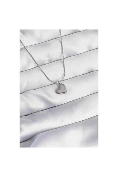 Store 316l الصلب الفضة اللون الحد الأدنى تصميم القلب قلادة
