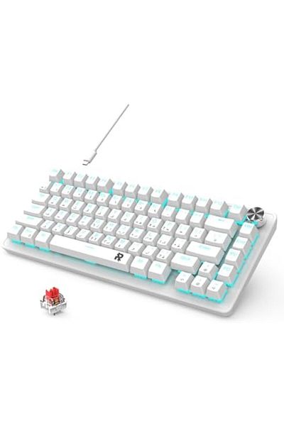 ROCK POW 70% Gaming Keyboard, Arabic English 82 Keys Mechanical Keyboard with Ice Blue Backlit 19 Mo