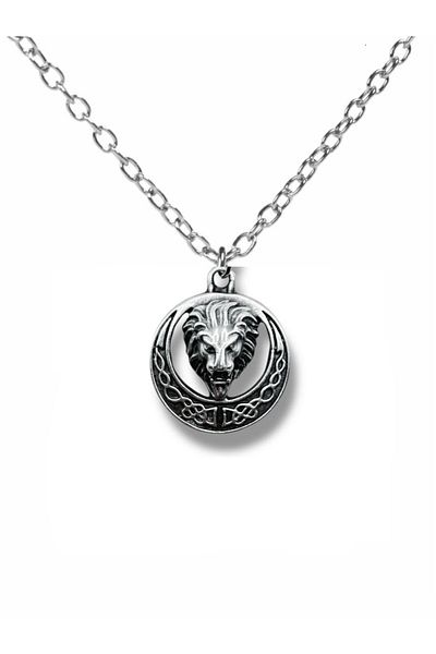 Herşey Nota Lion's Emblem – Gothic Lion Head Circle Figured Unisex Necklace (60 cm Chain)