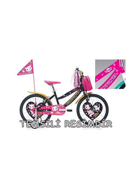 Moggy Kız Çocuk Bisikleti 290h V 20 Jant Pembe-beyaz-turkuaz