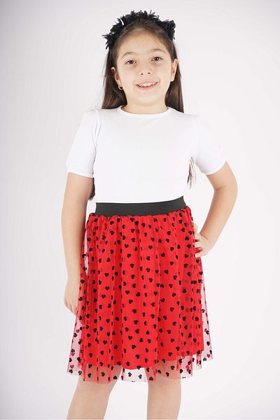 Betu Kids Girl's April 23 Heart-Detailed Tutu Tulle Skirt