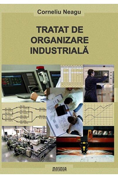 Editura Matrixrom Tratat de organizare industriala, Corneliu Neagu