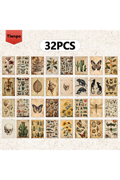 Choice مجموعة بطاقات بريدية نباتية مكونة من 32 قطعة بألوان مختلطة، بتصميم زهو...