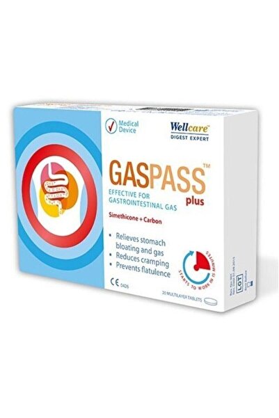 Wellcare Gaspass Plus 20 Tablet