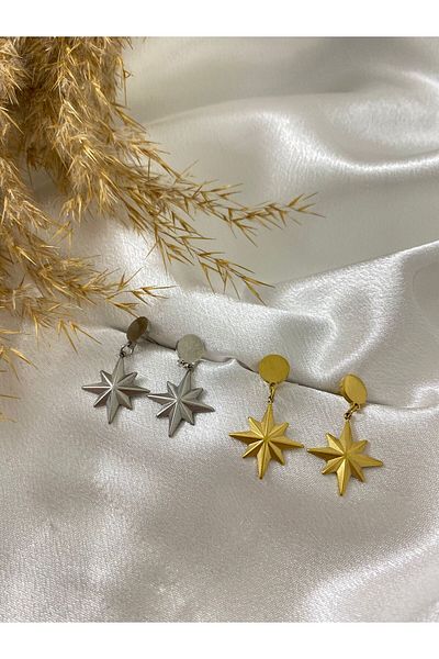 stainless steell North Star Steel Earrings