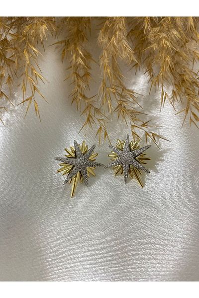 stainless steell Zircon Detailed Star Steel Earrings