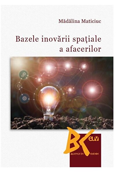 Editura Universitatii de Vest Bazele inovarii spatiale a afacerilor, Madalina Ma