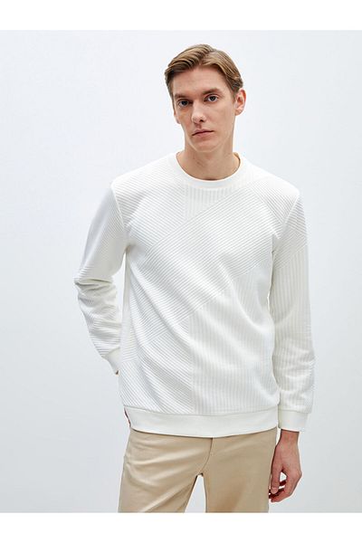 LC Waikiki Lcw Crew Neck Long Sleeve Men's Sweatshirt Fast Fashion