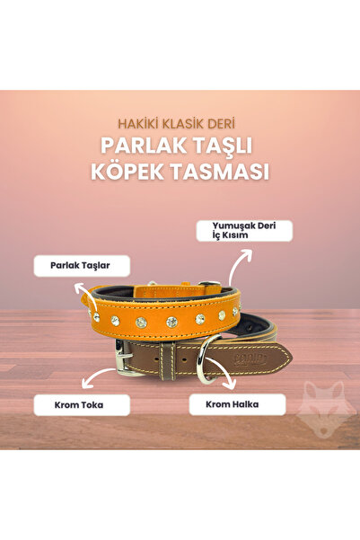 Canini Collar Hakiki Deri Parlak Taşlı-Yapay Elmaslı Köpek Tasması, Yumuşak Deriden İç Kısım, Krom Toka ve Kanca