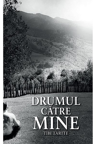 Editura Smart Publishing The road to me, Tibi Tarite