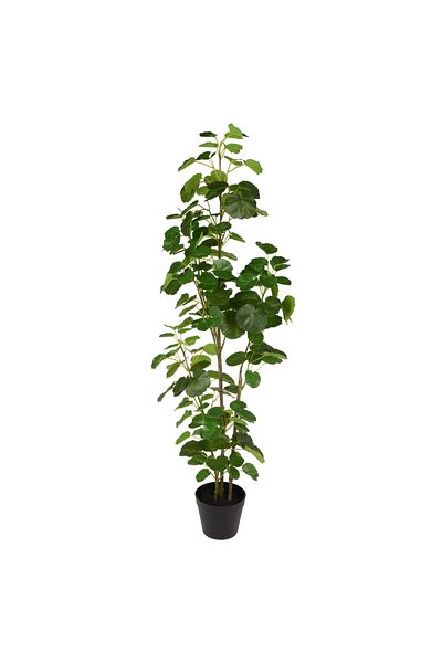DESİGN Artificial Araliaceae Plant, Azay Design, rich in green leaves, with carefully crafted details, H 122