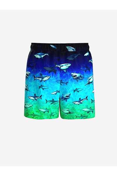 LC Waikiki Lcw Kids Blue Quick Dry Uv Protection Boys Swim Shorts