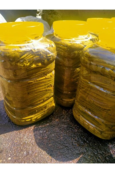 YÖRESEL ANADOLU YENİ MAHSUL Tokat Erbaa Asma Üzüm Yaprağı 3 Kg (DAMARSIZDIR)