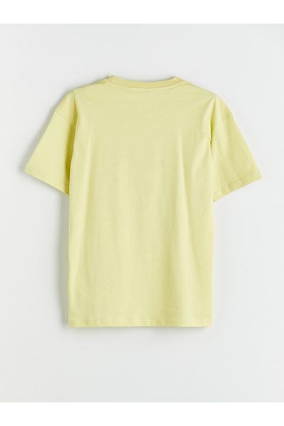 LC Waikiki Crew Neck Boy's T-Shirt